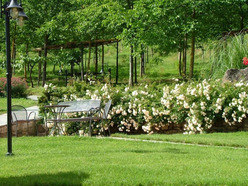 Agriturismo Podere La Casaccia 波皮 外观 照片